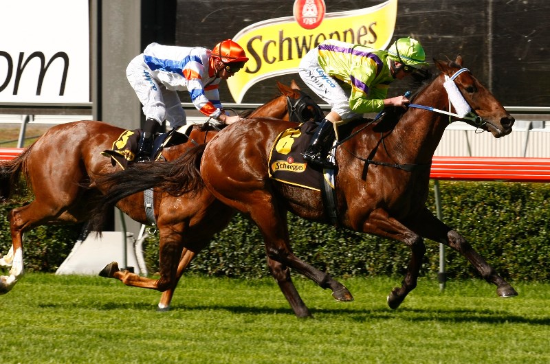 Bordertown Tips - Horse Racing Tips & Selections For Wednesday 11.3.20
