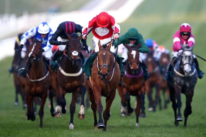 Champion Bumper cheltenham