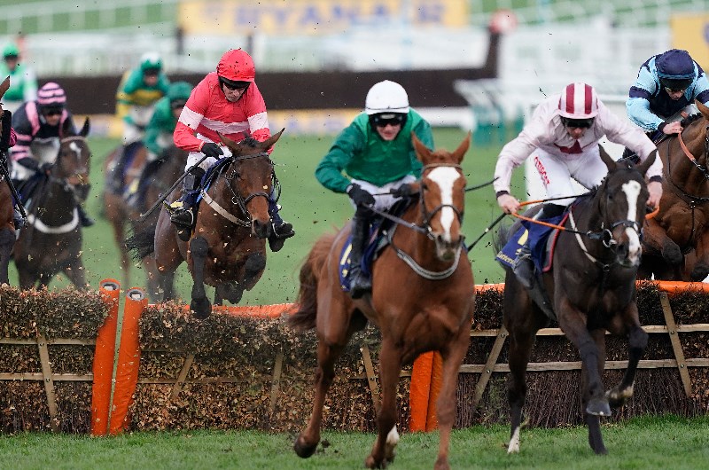 Eglantine du seuil Cheltenham tip