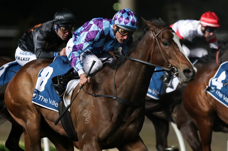 Horses For The Blackbook From Australian Cup Day