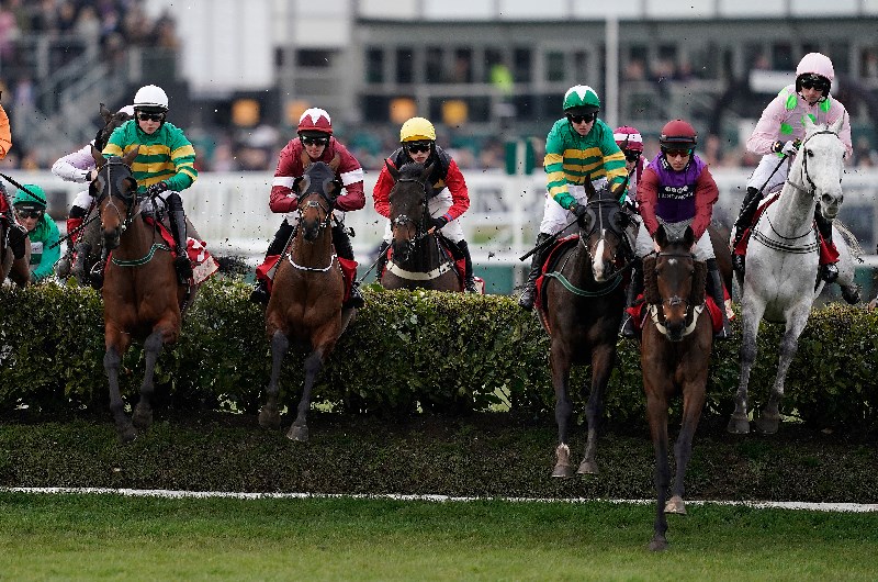 Tiger Roll cheltenham