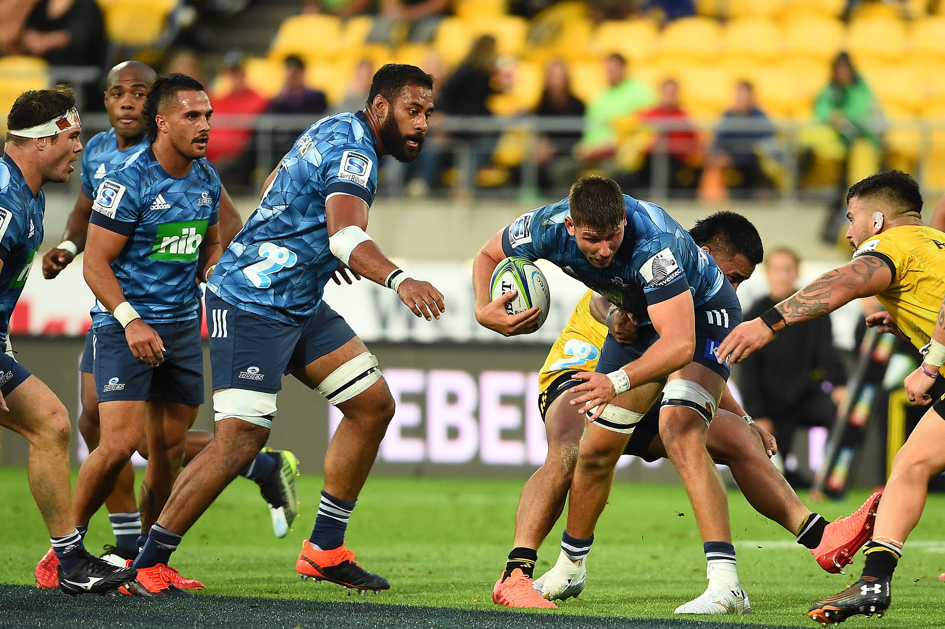 auckland blues rugby