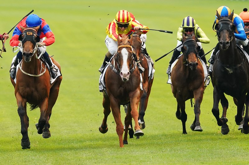 Goulburn Racing tips for 12.03.2020