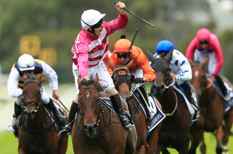 coolmore classic 2020 tips