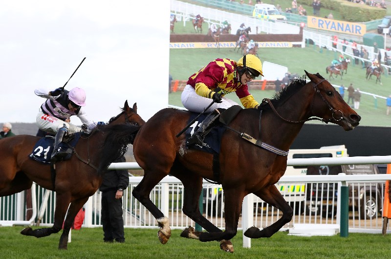 festival plate cheltenham