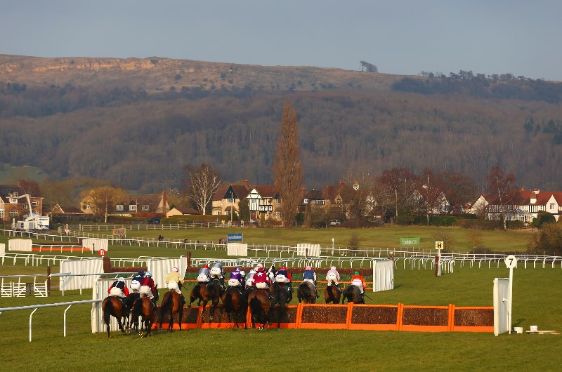 mares novices hurdle cheltenham