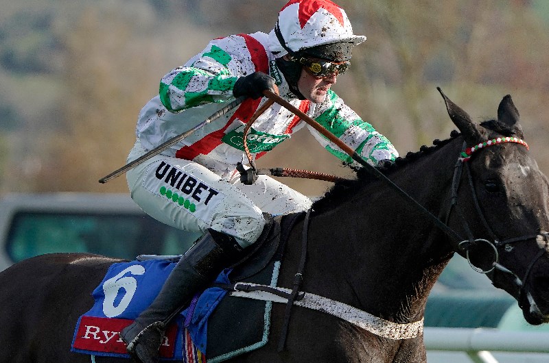 mister fisher cheltenham 2020