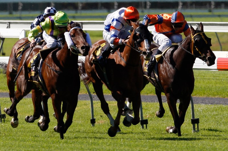 Morphettville Tips - Horse Racing Tips & Selections For Saturday 14.3.20