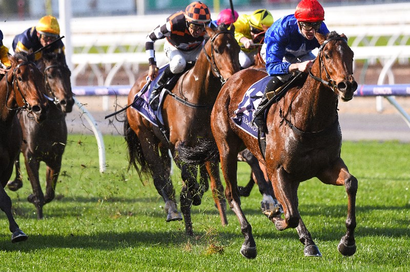 Sale Tips - Horse Racing Tips & Selections For Sunday 15.3.20