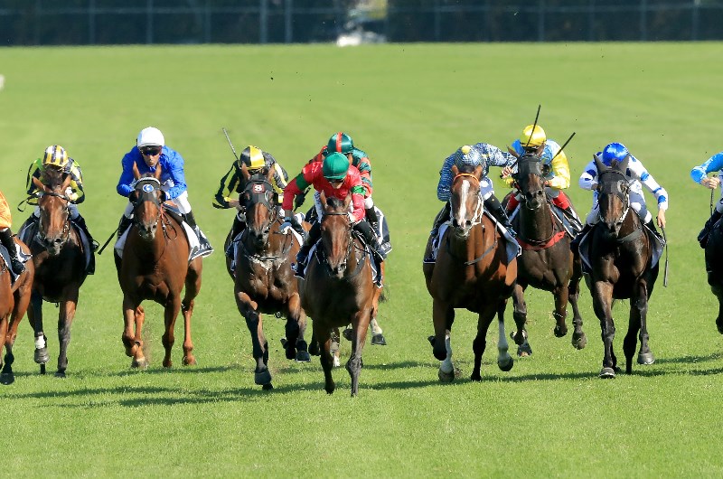 coolmore classic day 2020 tips & selections