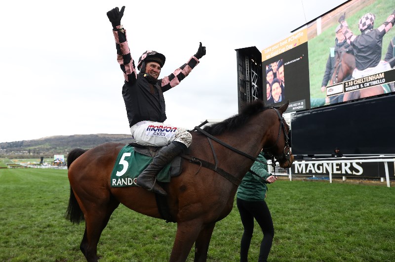 county hurdle cheltenham