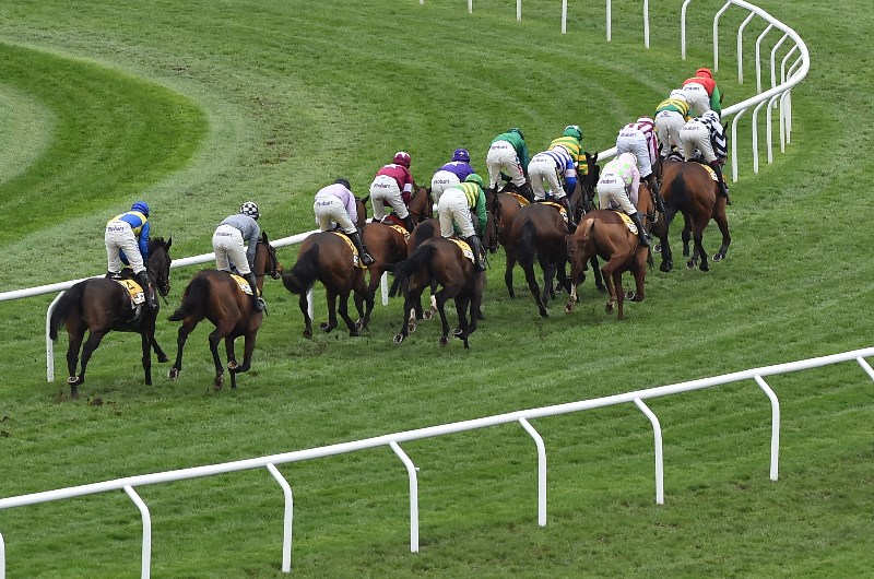 triumph hurdle