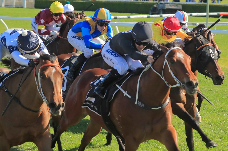 kensington racing preview for 18.03.2020 for freetips