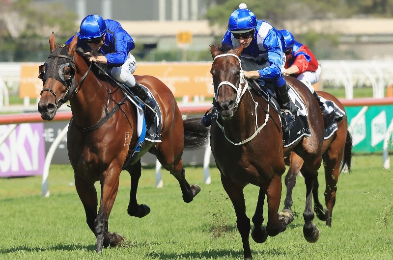 george ryder stakes tips 2020