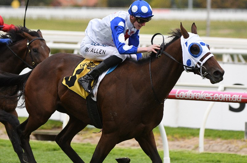 Queensland Derby Queensland Derby