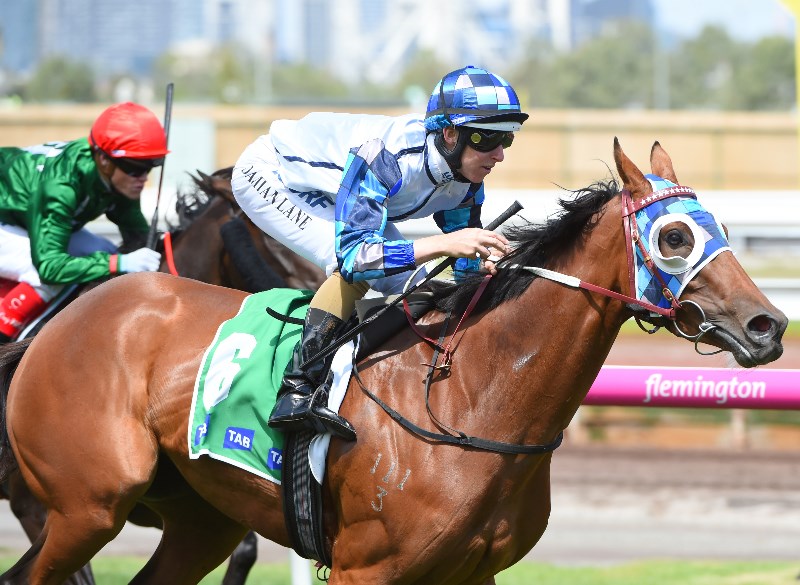 kenedna - coolmore static kenedna - coolmore static