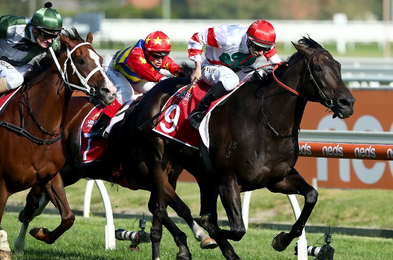 Kilmore Tips - Horse Racing Tips & Selections For Thursday 26.3.20