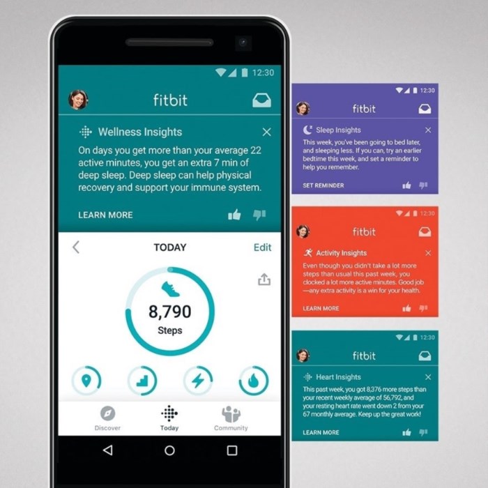 Fitbit Premium Insights