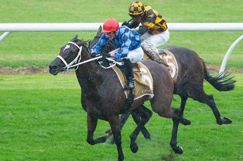 Vinery Stud Stakes 2020 Tips
