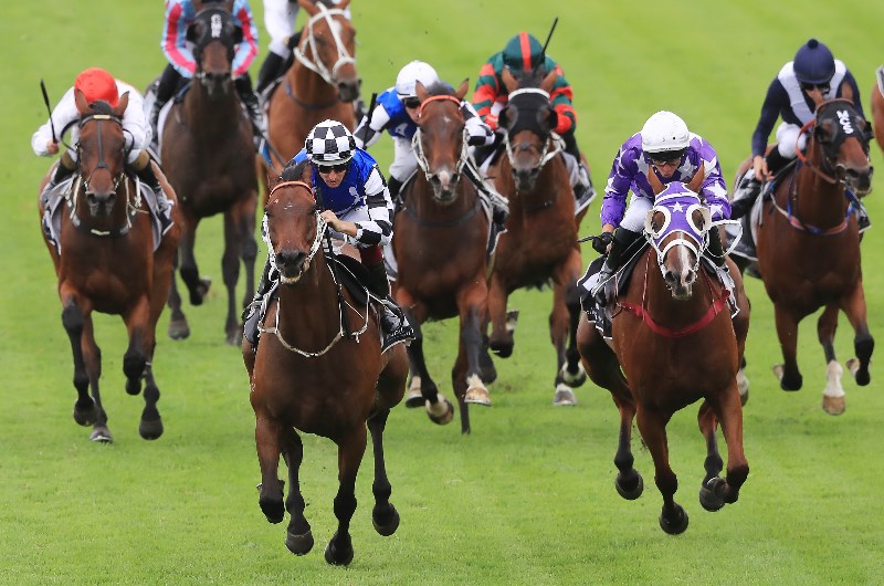 tancred stakes tips 2020