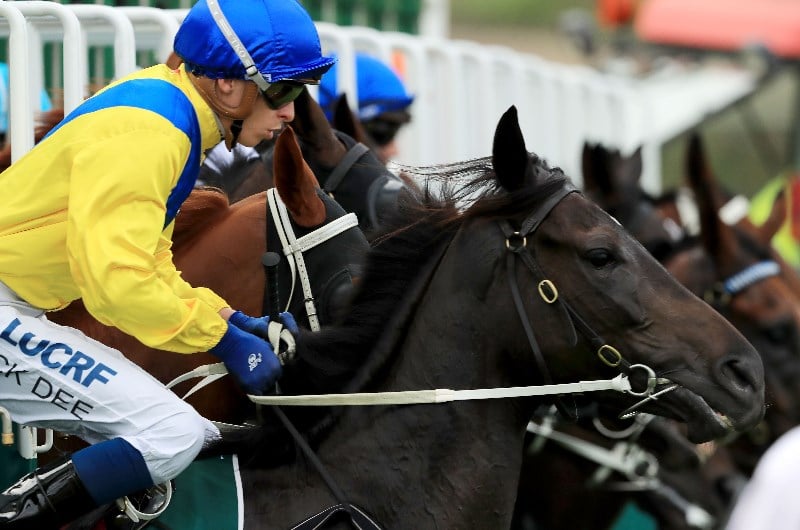 Vinery Stud Stakes Vinery Stud Stakes