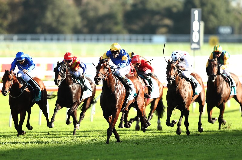 2020 TJ Smith Stakes Tips
