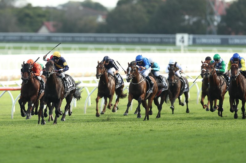 doncaster mile 2020 tips