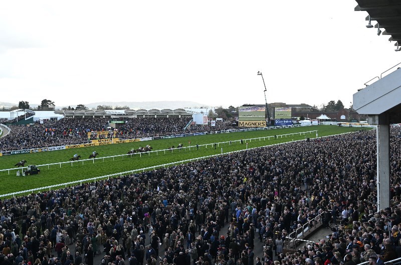 cheltenham festival crowd