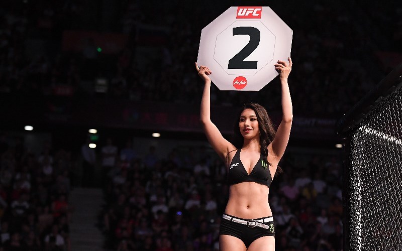 ufc octagon