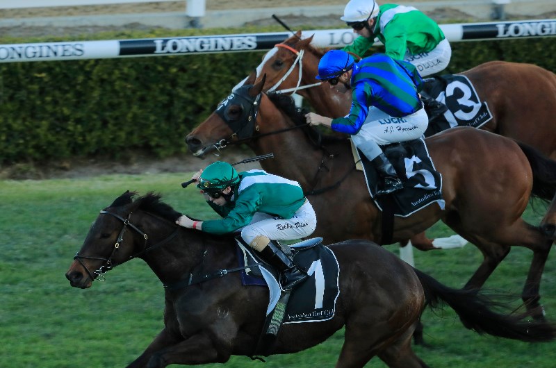 randwick kensington tips for 15.04.2020