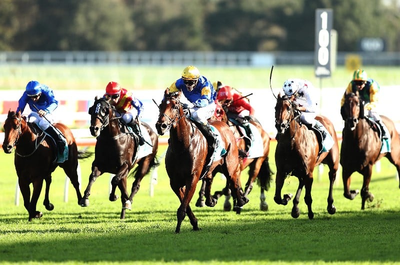 all aged stakes 2020 tips