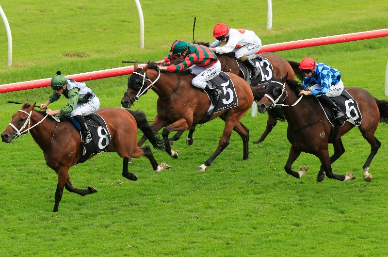 all aged stakes day 2020 tips