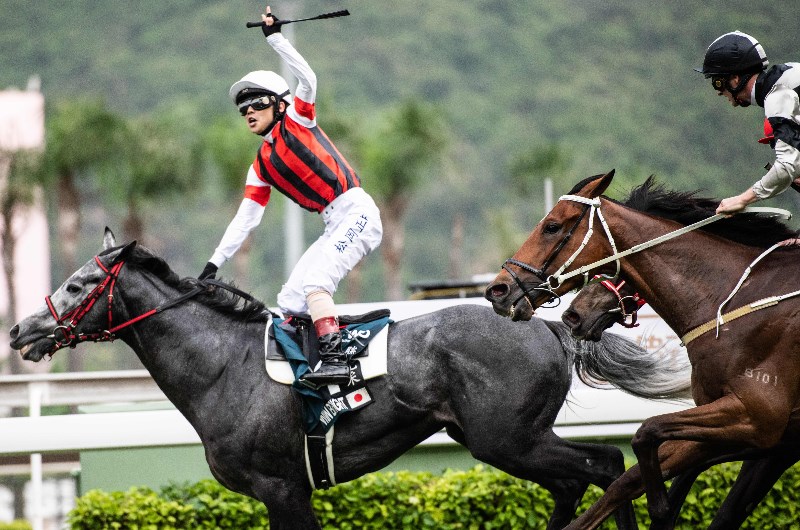 win bright sha tin