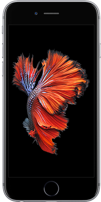 Apple iPhone 6s