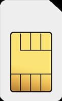 Card Triple SIM