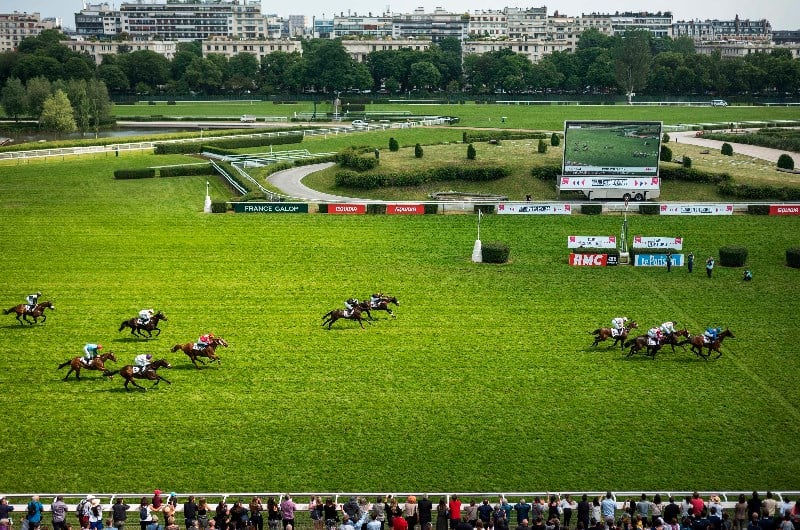 france horse racing to return - news
