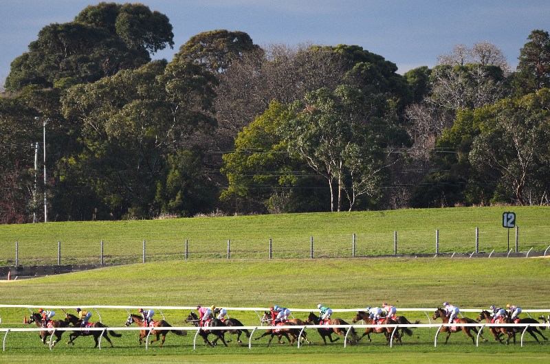 Sandown Racing Tips - Horse Racing Tips & Selections