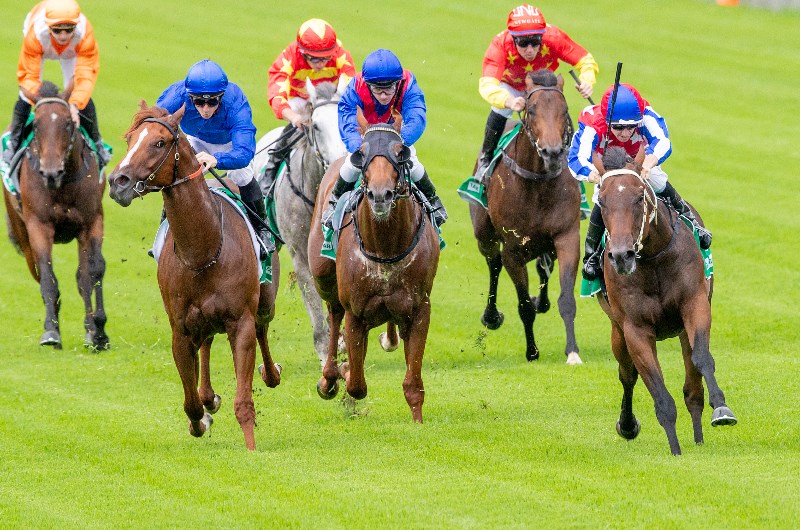 warwick farm tips for 13.05.2020