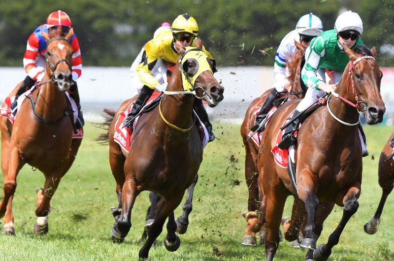 ascot tips for 13.05.2020