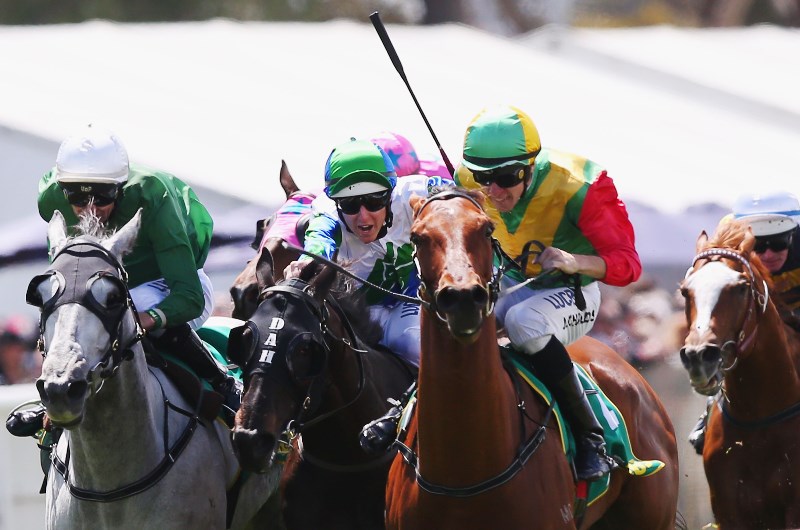 belmont tips for 14.05.2020