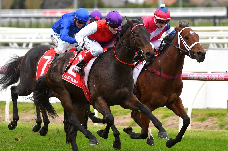 Flemington Racing Tips - Horse Racing Tips & Selections