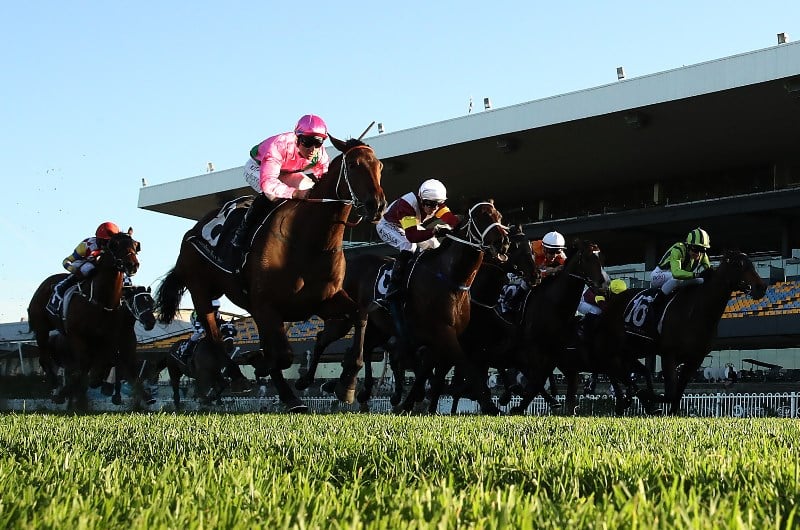 rosehill tips