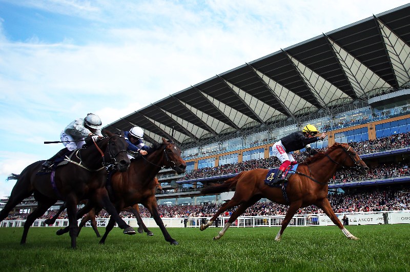 royal ascot to run - news