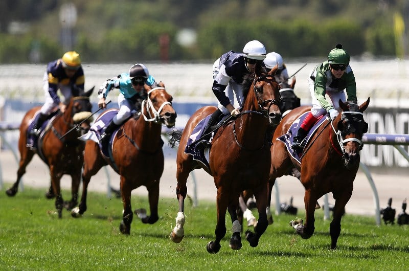 big bets for 16.05.2020