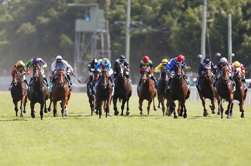 gold coast guineas day tips for 2020