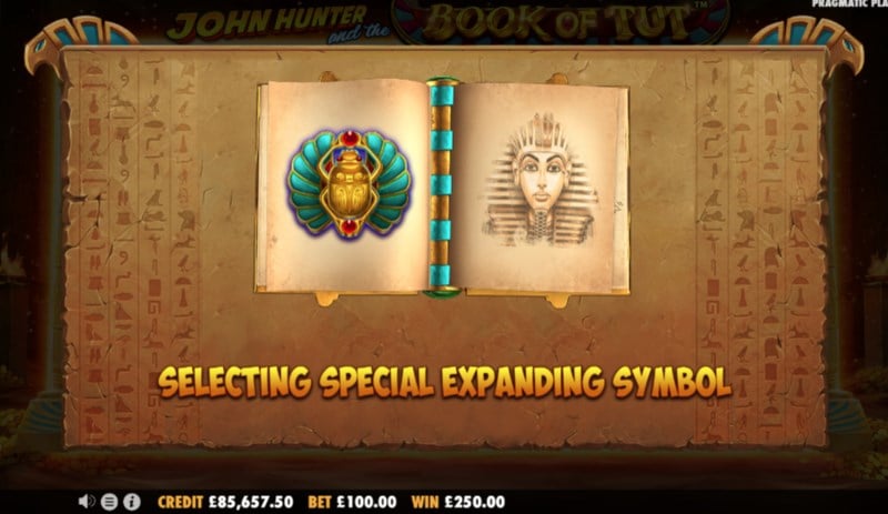 Book of Tut Expanding Symbol Book of Tut Expanding Symbol