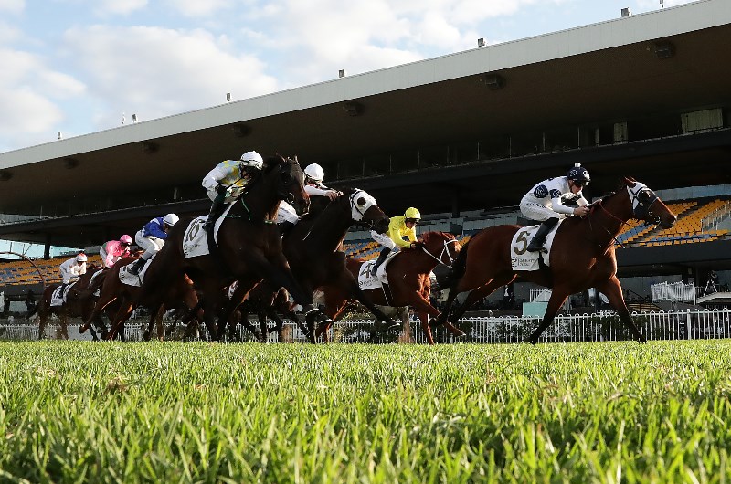 horse Racing