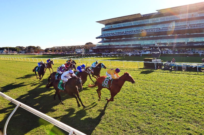 Randwick Kensington Tips Horse Racing Tips for the Kensington May 20