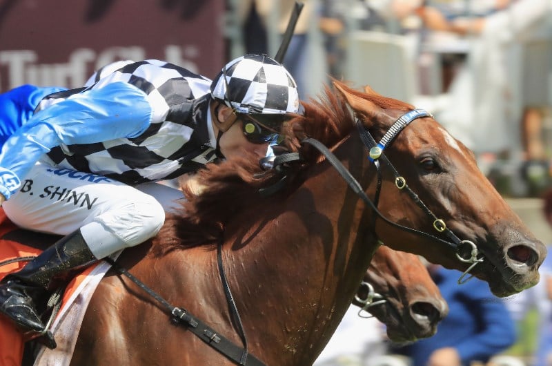 Victory Stakes Tips for 23.05.2020