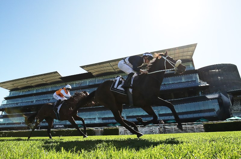 big bets for 23.05.2020